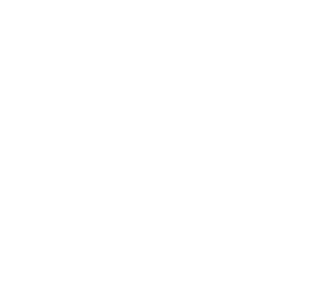 Toristy - Travel experiences near you